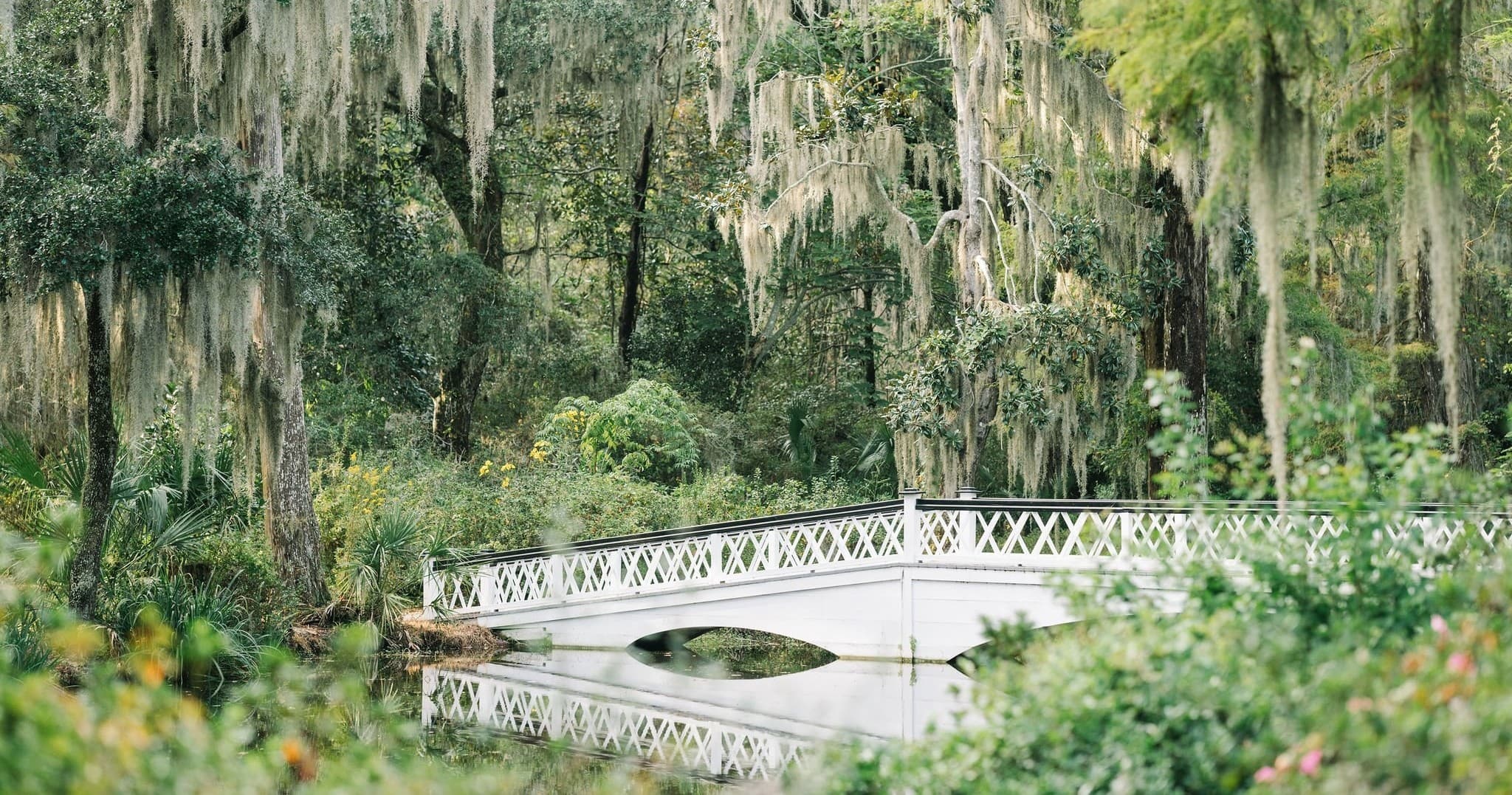 Historic Garden Tours & Nature Walks at Magnolia Plantation