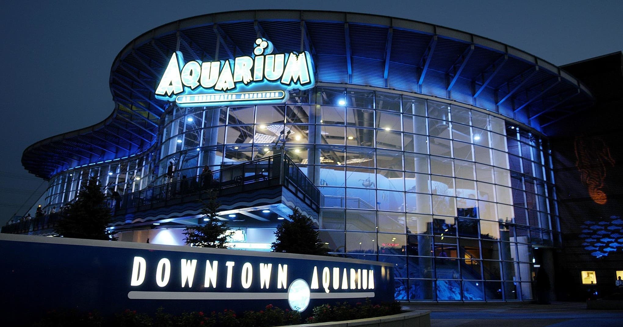 Explore Coral Communities at Downtown Aquarium Denver: A Unique Homeschool Learning Adventure photo 1