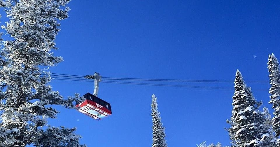 Red gondola traversing clear blue sky above snowy pine trees