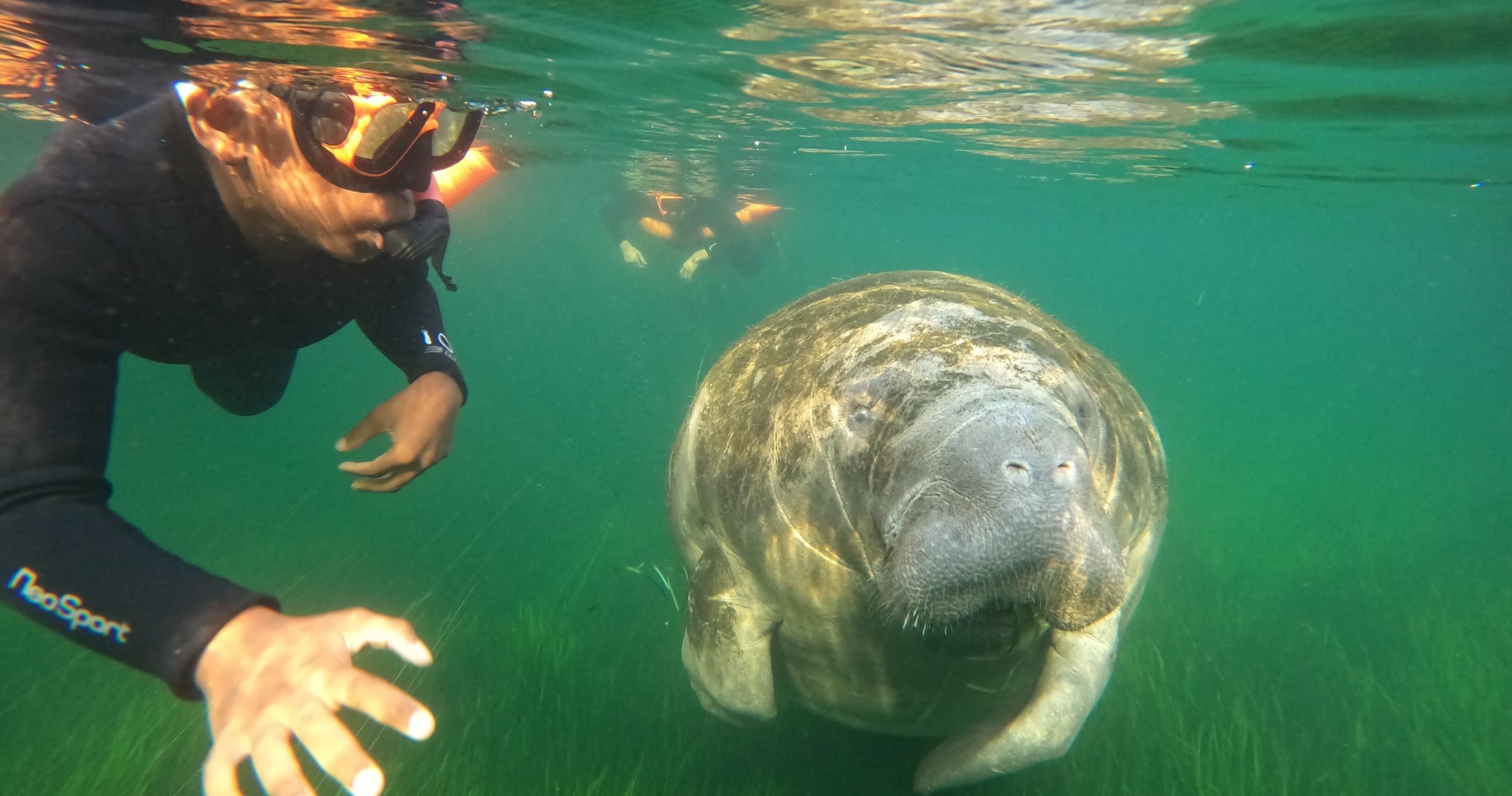 Snorkel in Crystal River, Florida