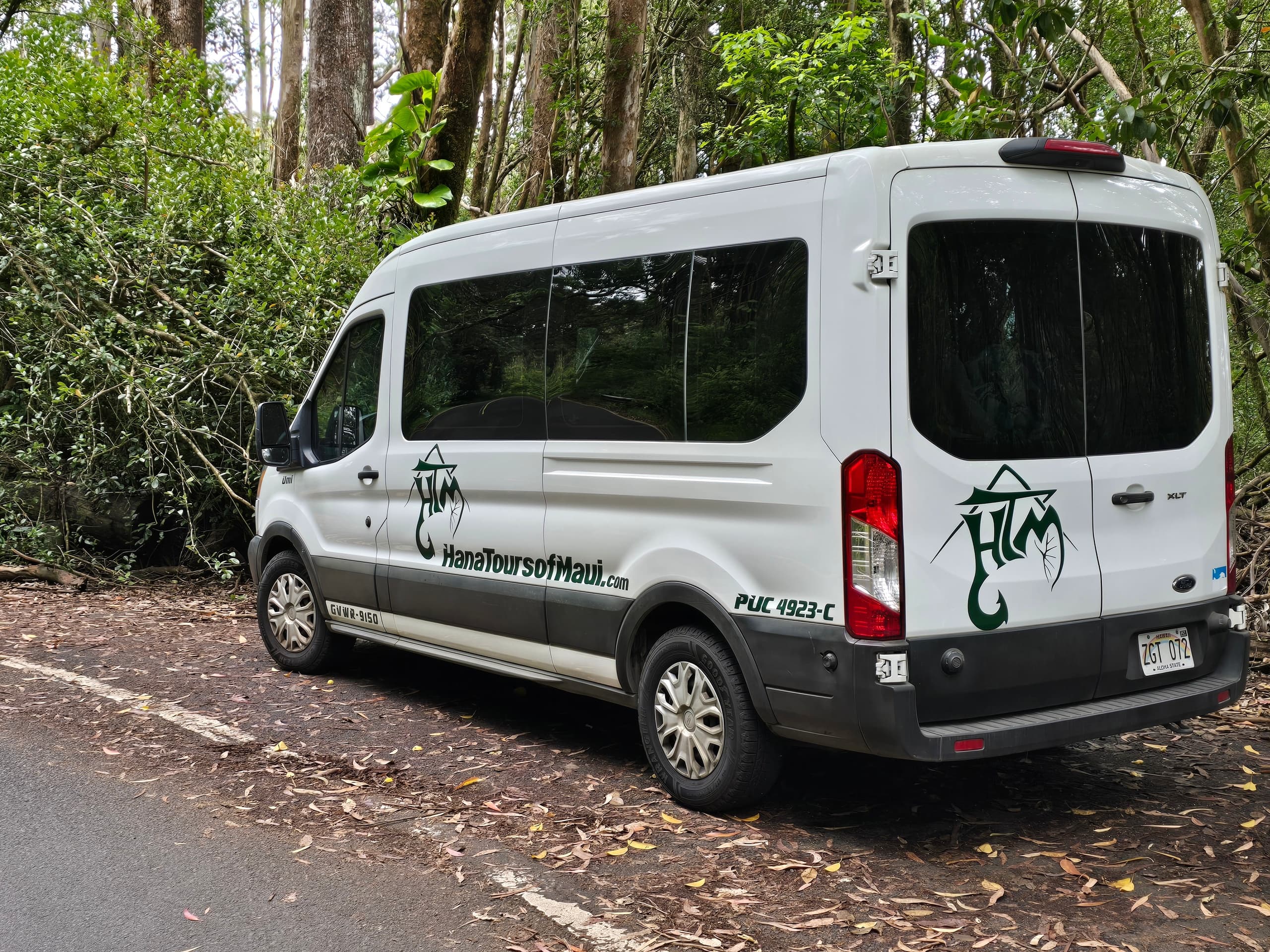 Halfway to Hana Tour by Hana Tours of Maui