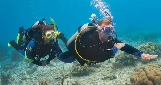 Two divers swimming near volcanic reef in clear Atlantic waters