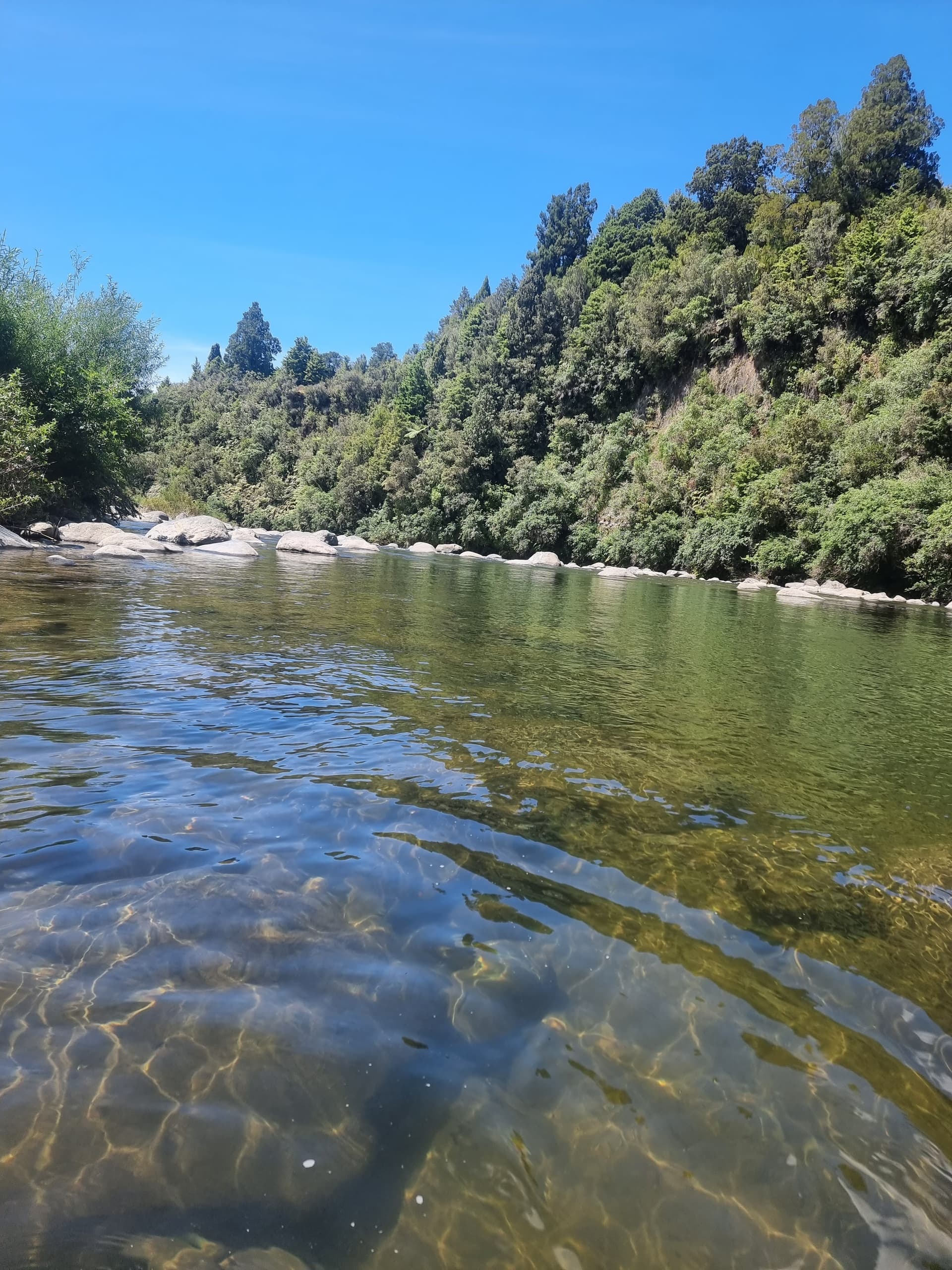 Explore Whanganui River: One-Day Culturally Guided River Journey from Taumarunui