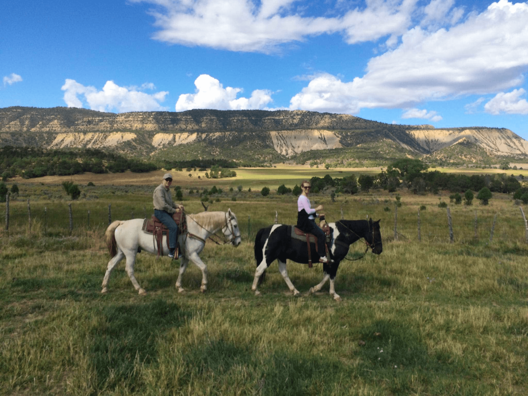 Mesa Verde Stables fleet