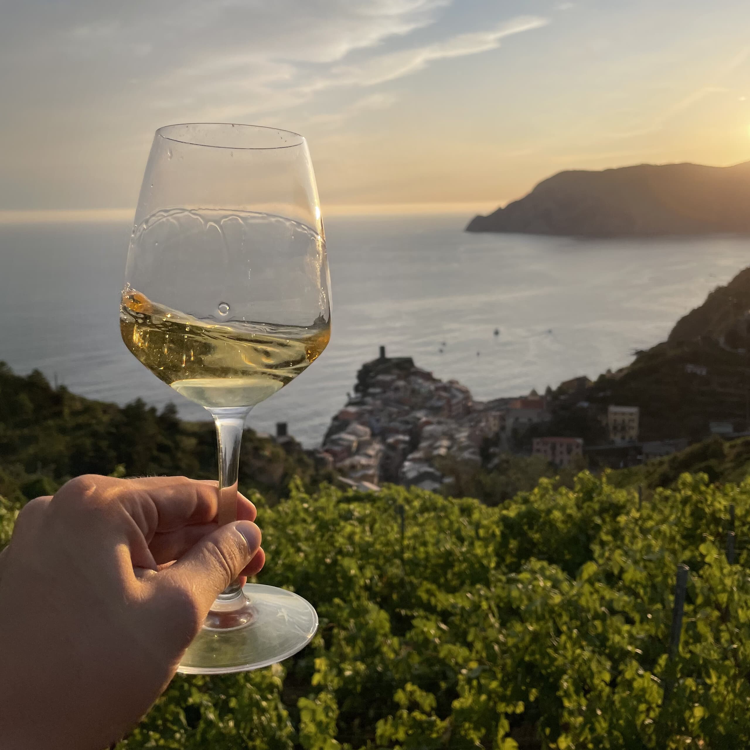 Vernazza's Eroico Wine Hike: Trekking the Terraced Vineyards of Cinque Terre