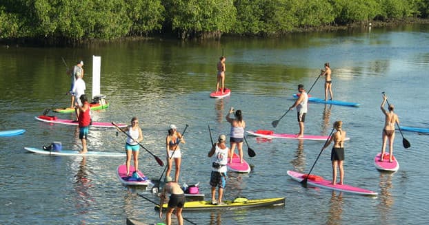 Group paddleboarders practicing SUP on calm mangrove-lined bay