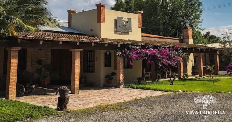 Wine & Heritage Tour at Vinos San Luis Potosi