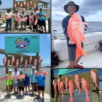 Half Day Red Snapper Trip | Fishing in Bay City | Private, Boat Tour, Water Activities, Sports
