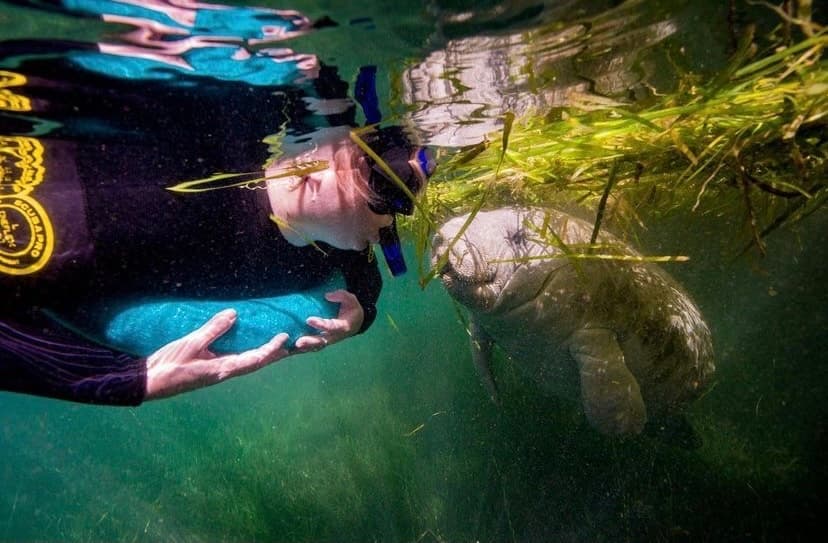 Private Manatee Snorkel Tours in Williston, Florida