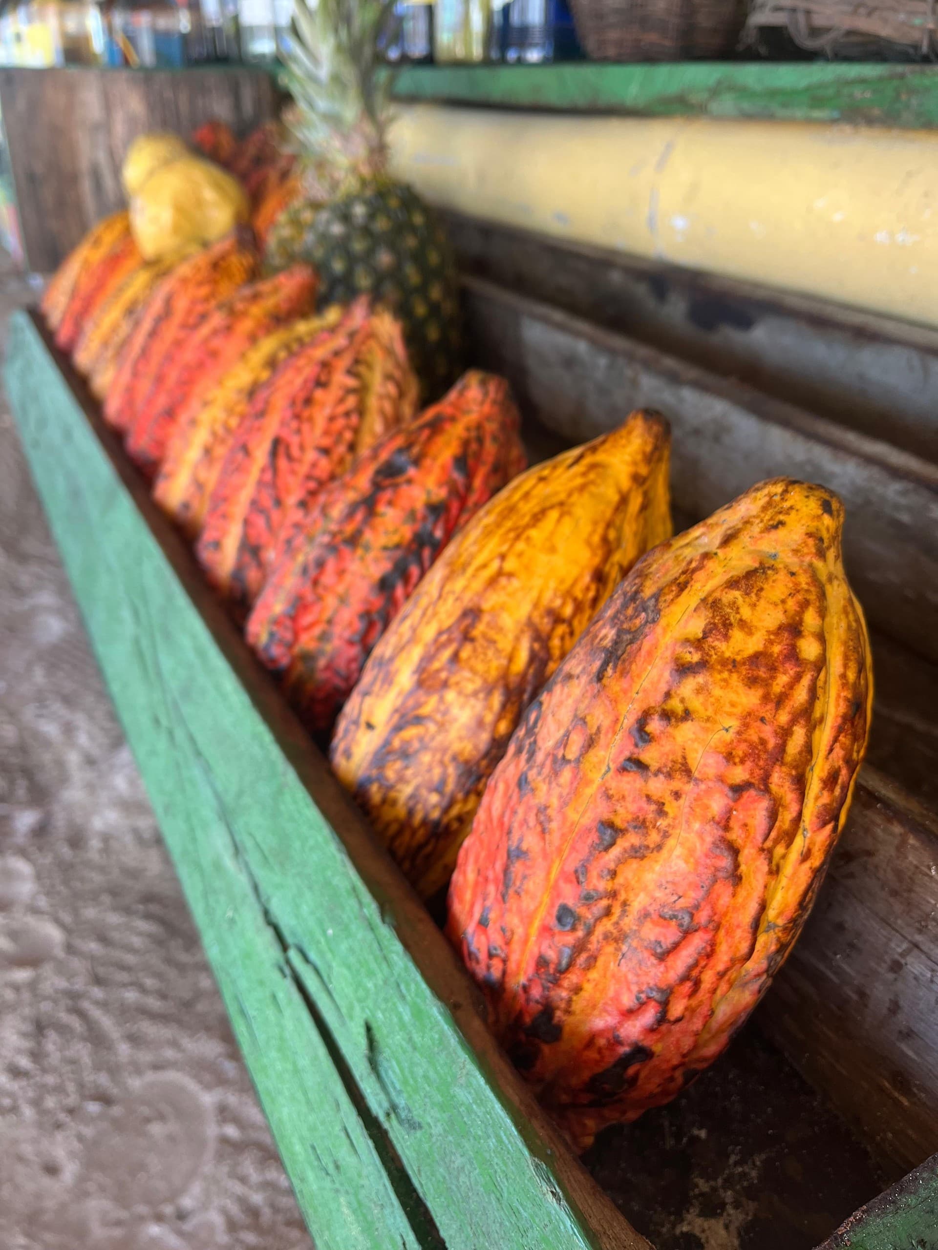 Cakumba x Sin Gusano: London Cacao and Mezcal Tasting at Sorbito photo 2