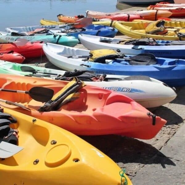 Paddle Ria Formosa: Kayak Rental in Faro with Formosamar