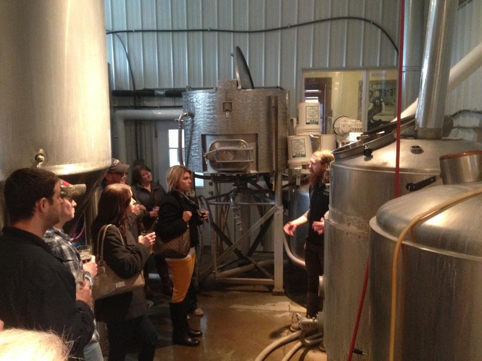 Guided brewery tour among stainless fermenters in brewery