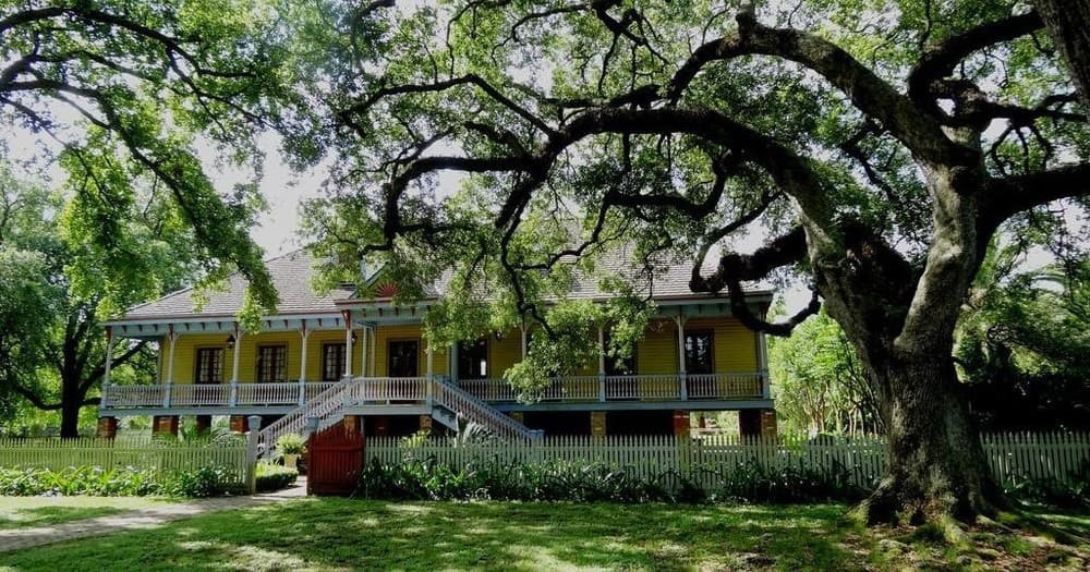 Water Activities at Laura Plantation and Swamp Tour in Louisiana