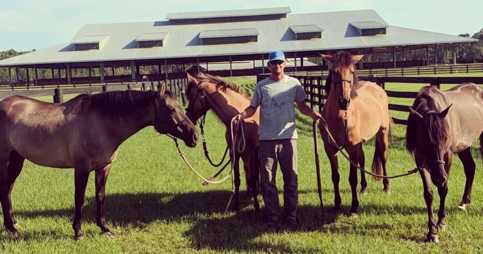 Handlers leading multiple horses in sunny farm paddock