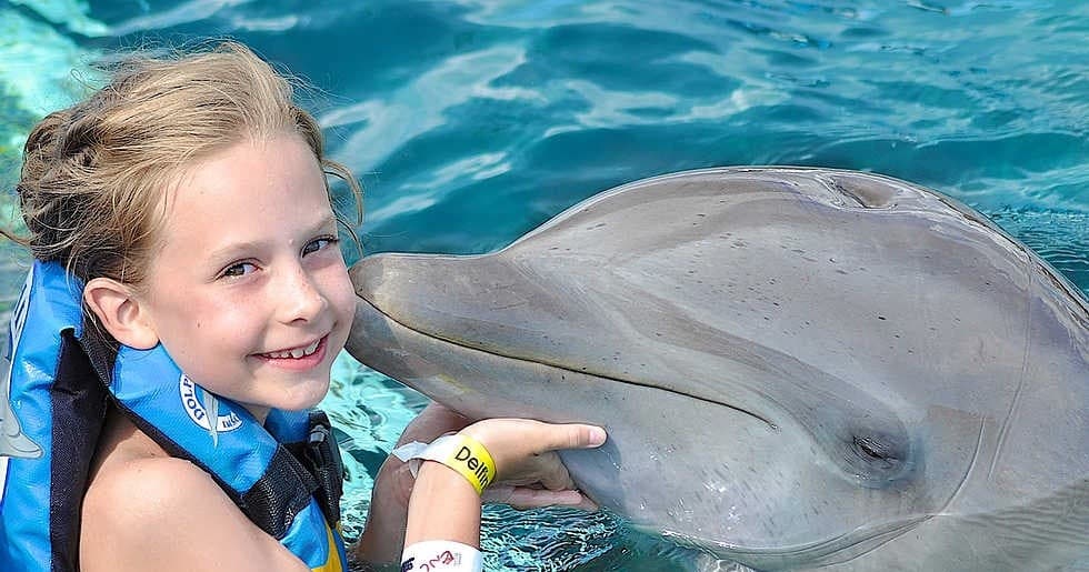 Dolphin Swim Adventure with Cozumel Tours - Excursions