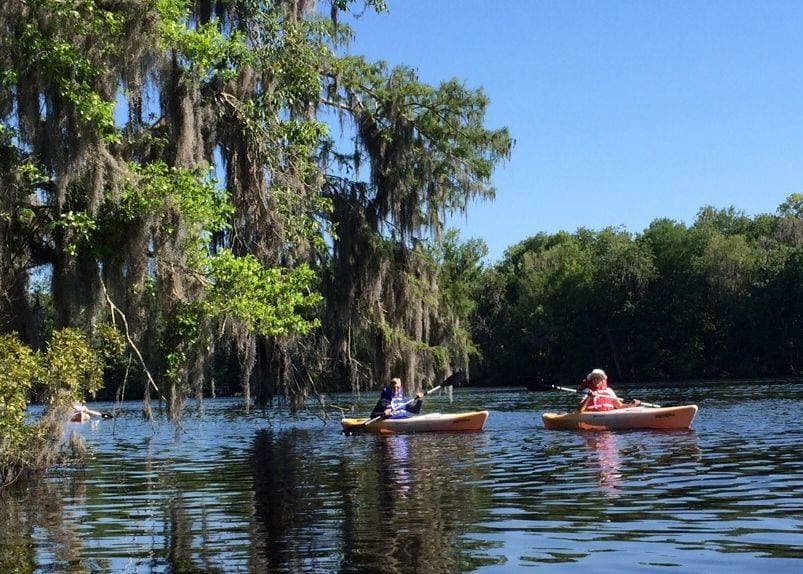 Explore Dunns Creek State Park: Guided Kayak Tours through Florida’s Cypress-lined Waterways