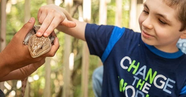 Good Nights At The Swamp (GNATS): Overnight Zoo Adventure for Kids at Chehaw Park in Albany, GA