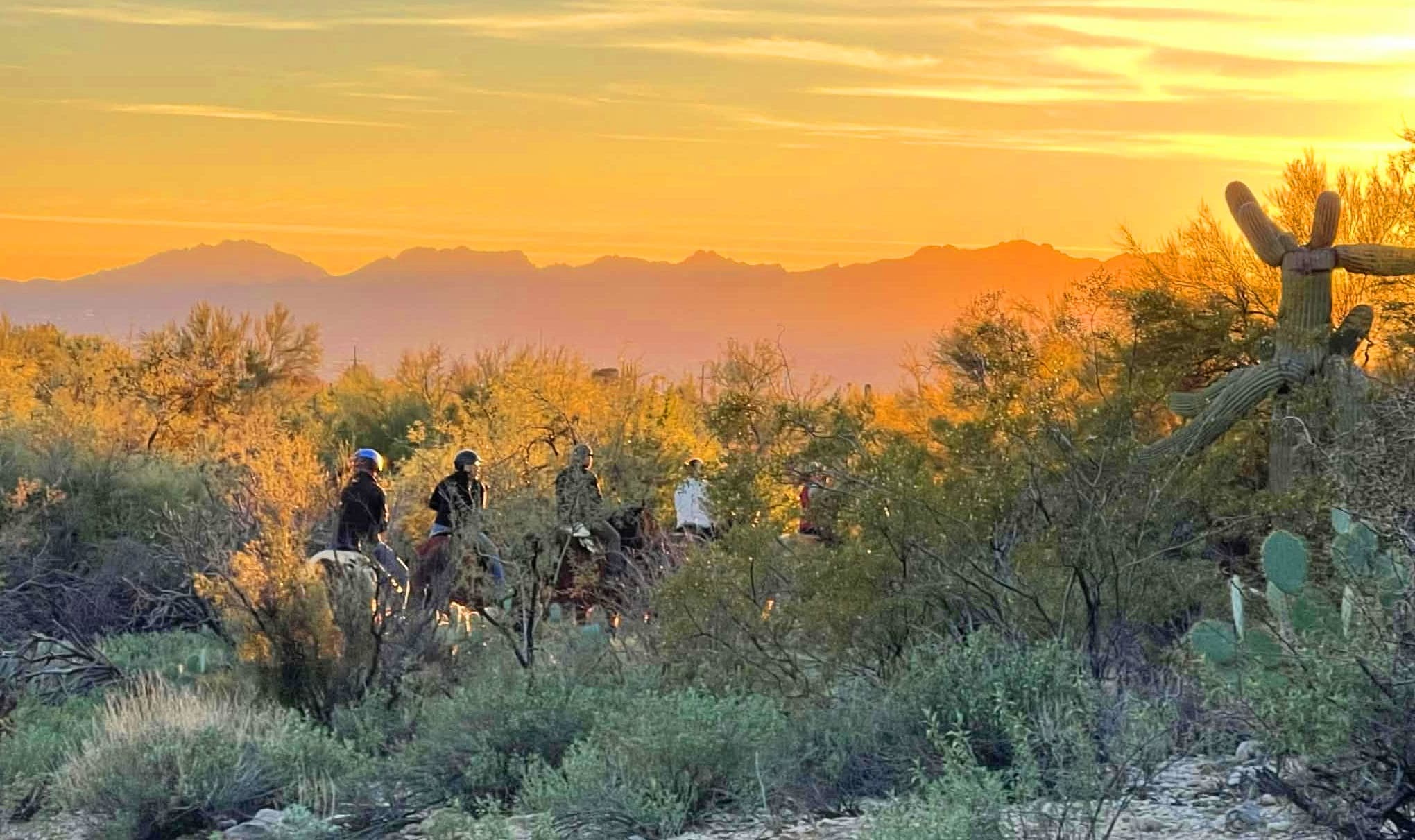 Westward Look Sunset Horseback Ride: Tattered Saddle 1-Hour Desert Trail