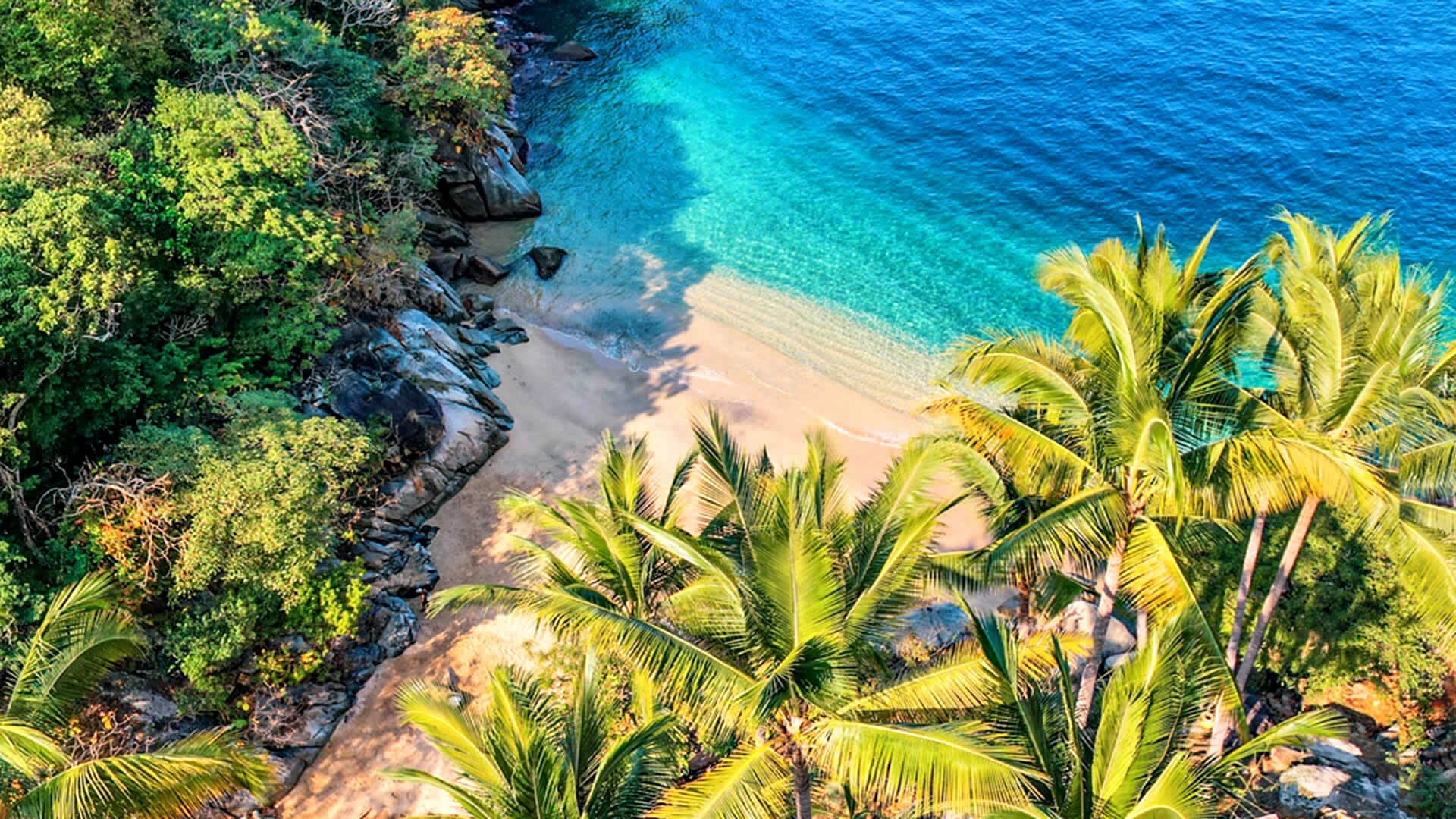 Tropical Puerto Vallarta beach with palm trees and turquoise bay