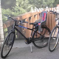 Kid Seat Bike Rentals in Austin for Family Fun