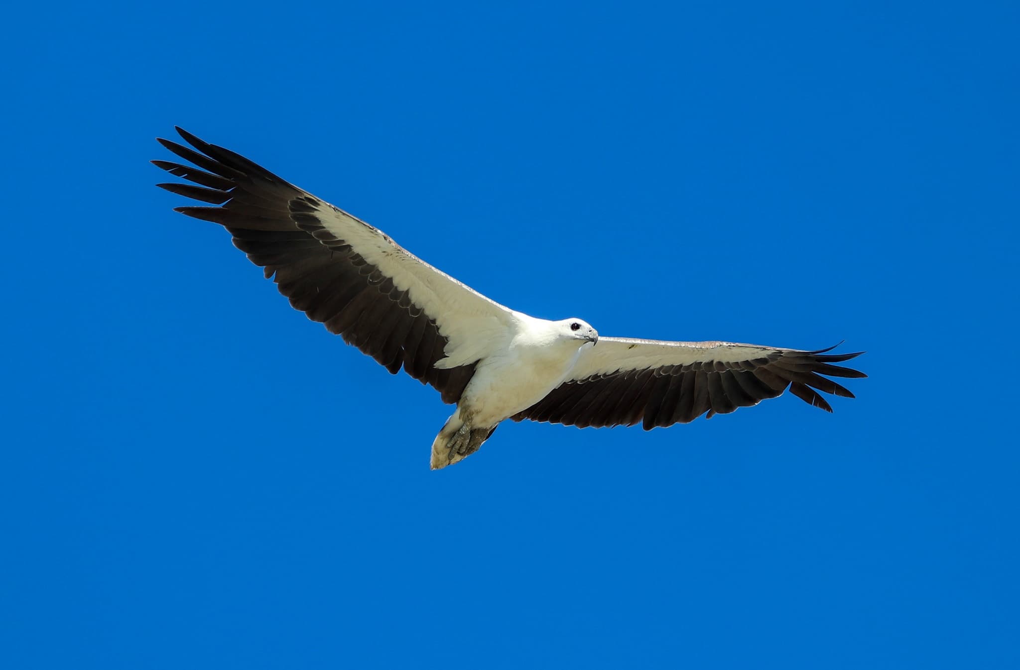 Water-Activities & Coastal Tour at Broome Bird Observatory
