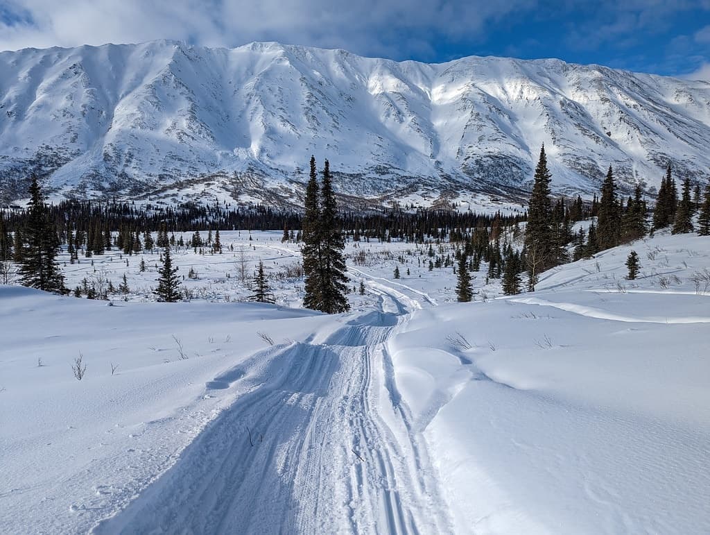 Iditarod Trail Snowmobile Expedition in Willow, Alaska
