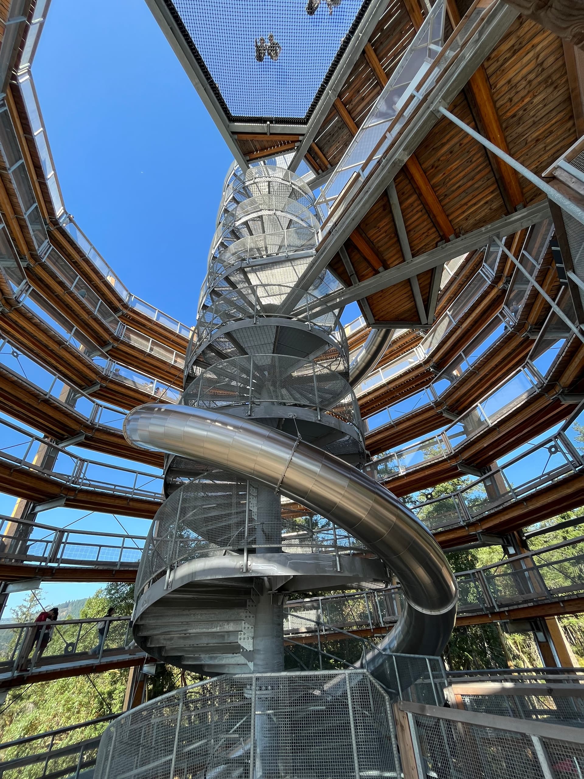 Outdoor Adventure at Malahat Skywalk & Butchart Gardens with Surfside Adventure Tours