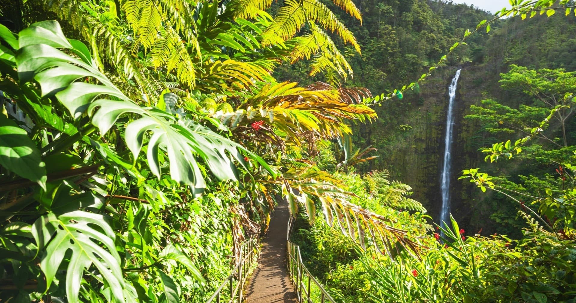 Private Shuttle to Volcano: Hilo Airport to Volcano Transfers on Hawaiʻi Island