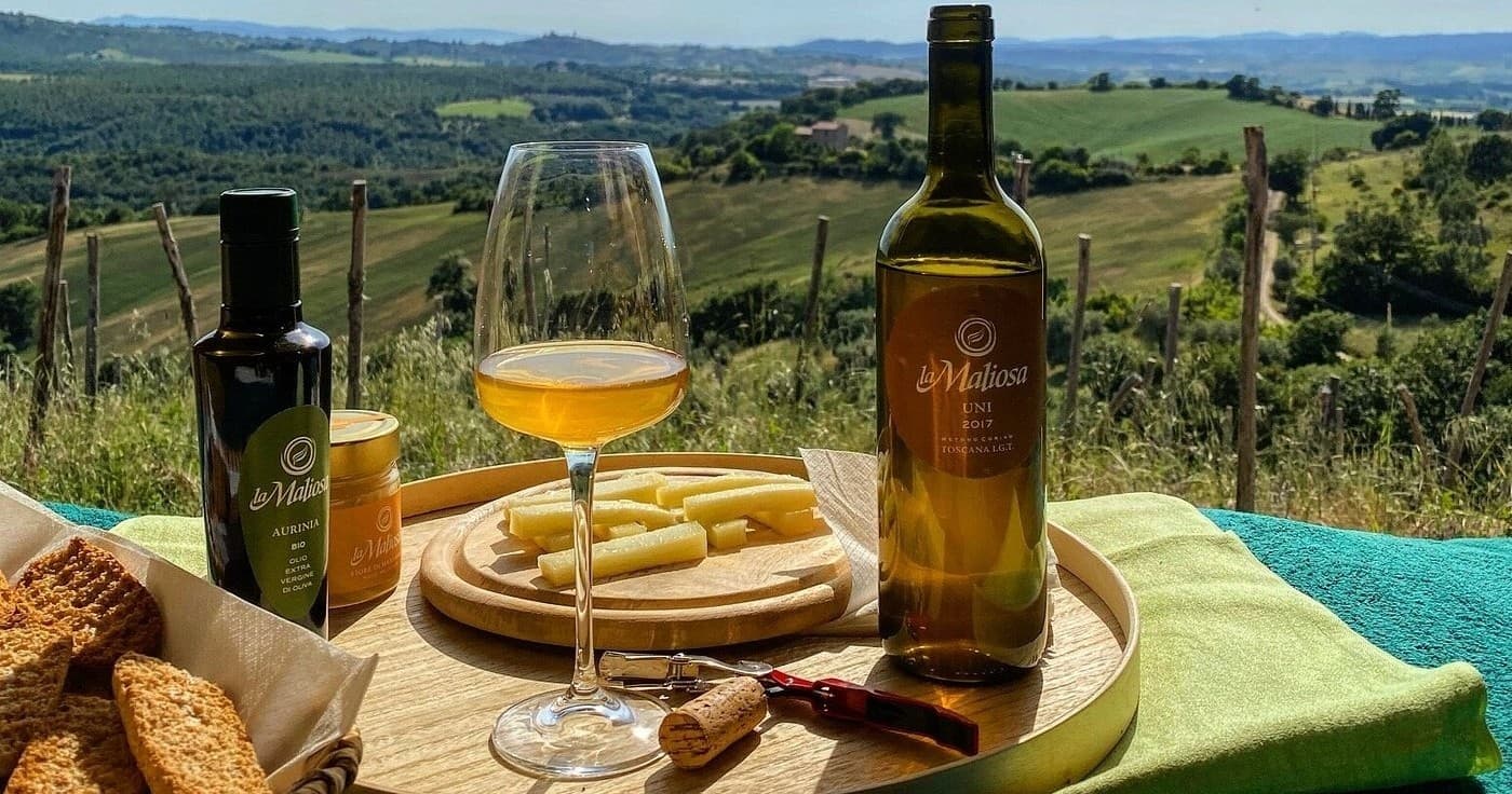 Tuscany Vineyard Picnic by Farm Experiences & Tours