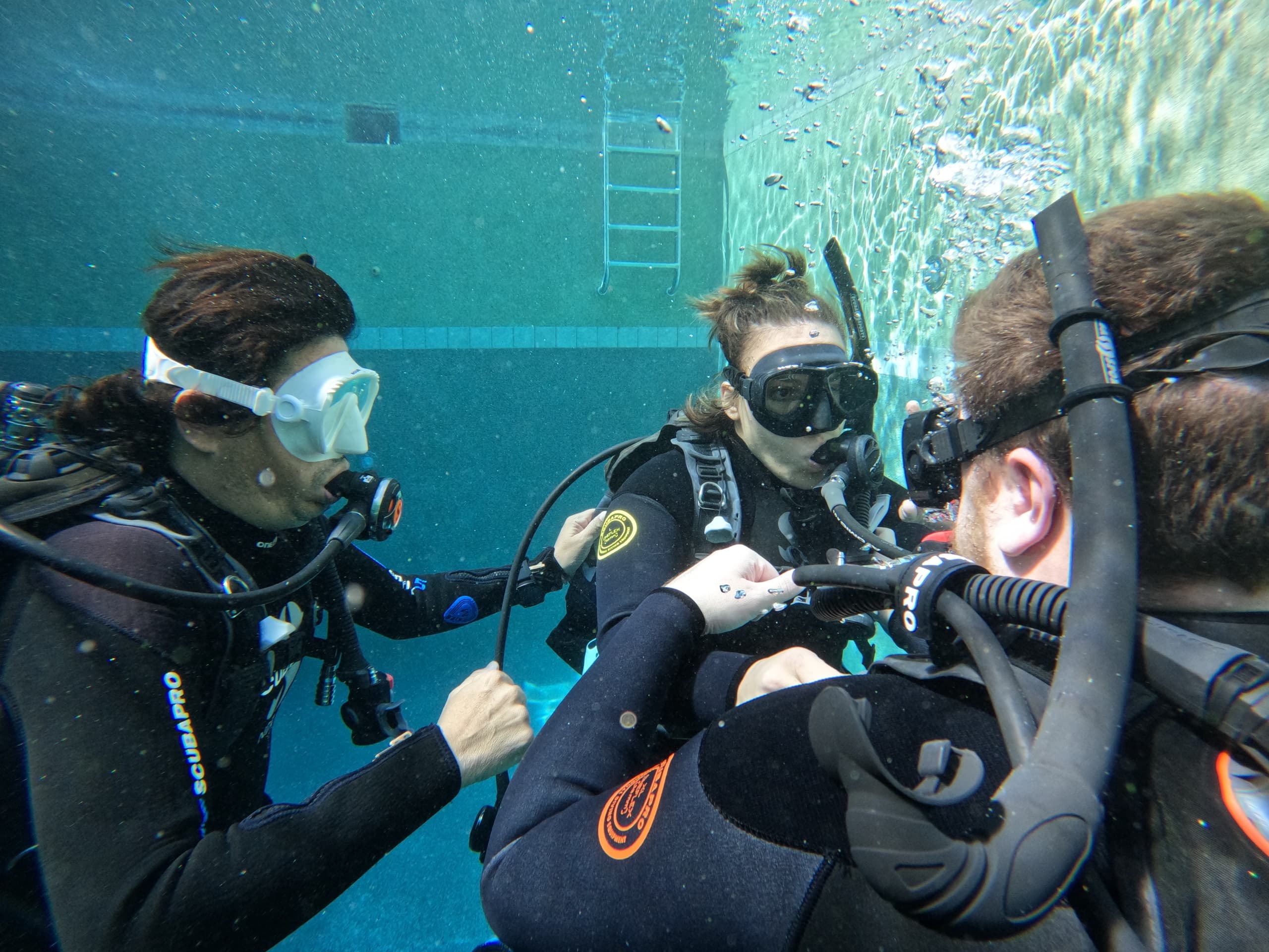 Fast-Track Your PADI Open Water Certification in Los Cabos’ Sea of Cortez photo 1