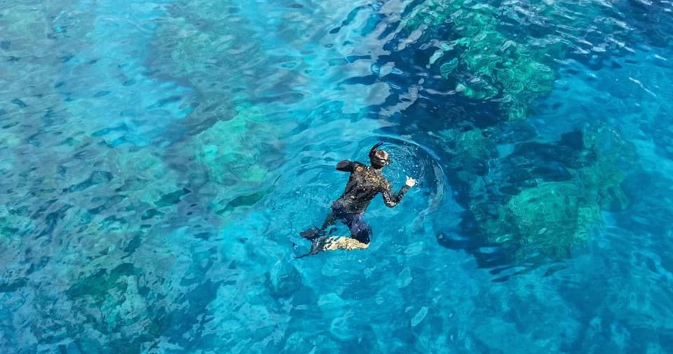 Water Activities Guide: Snorkeling Cozumel Reefs by Deep Life