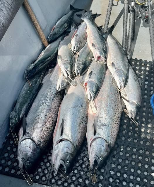 Westport Salmon Fishing: 10-Hour Charter for Chinook & Coho photo 2