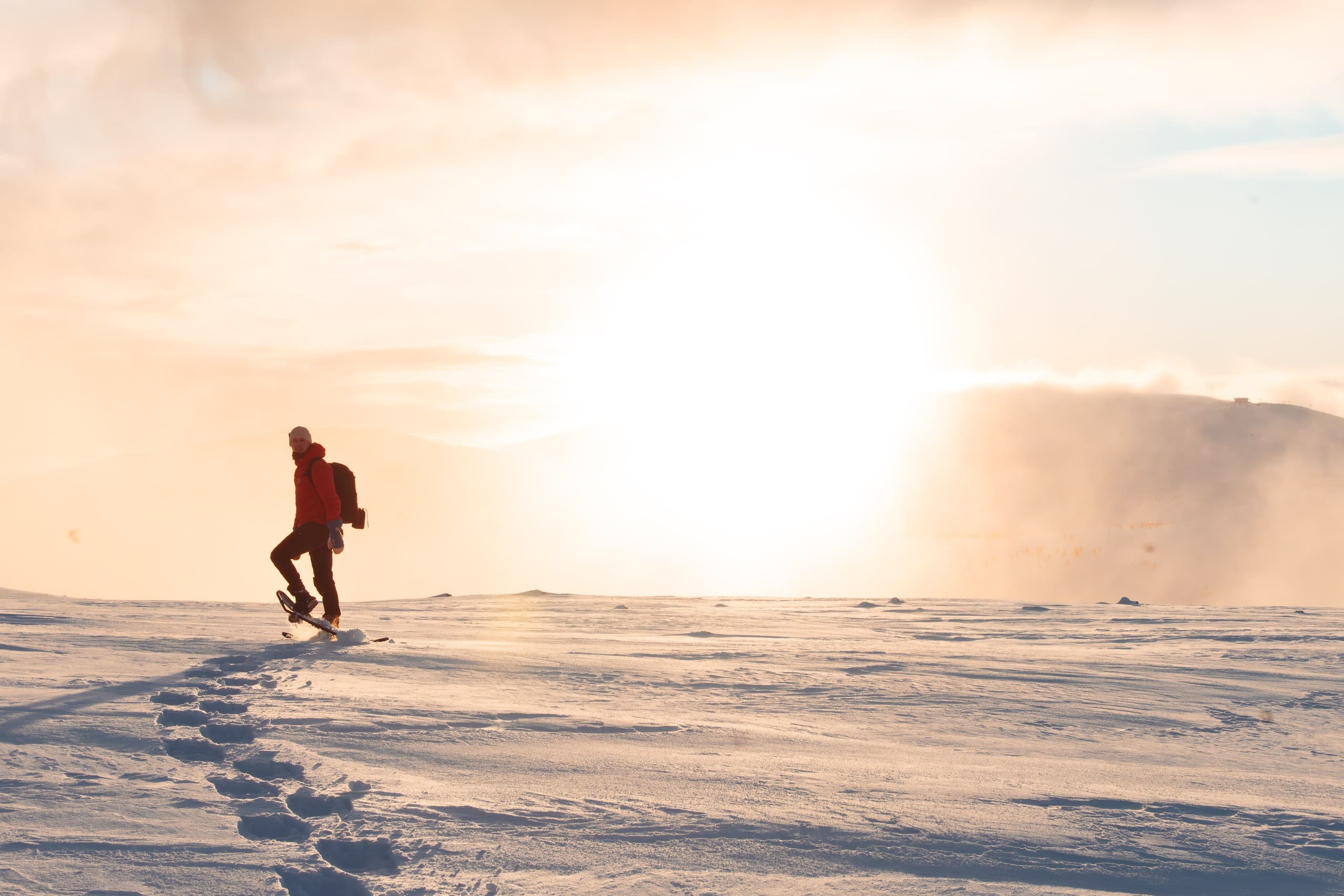 Levi summit snowshoe tour: Fairy Tale Forest & tundra panoramas