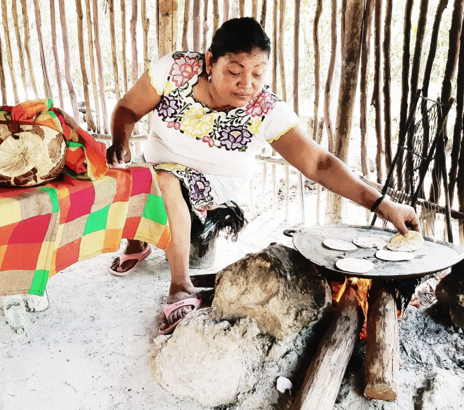 Jeep Adventure & Mayan Culture with Best Buy Tours Cozumel