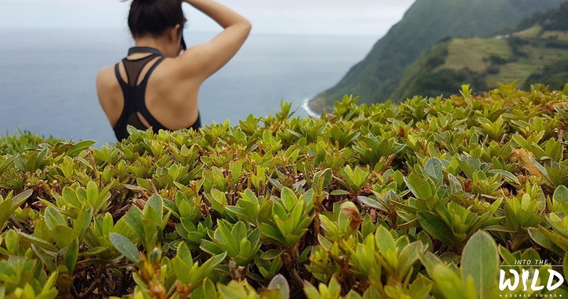 Nordeste Day Trips with Into The Wild Azores Tours