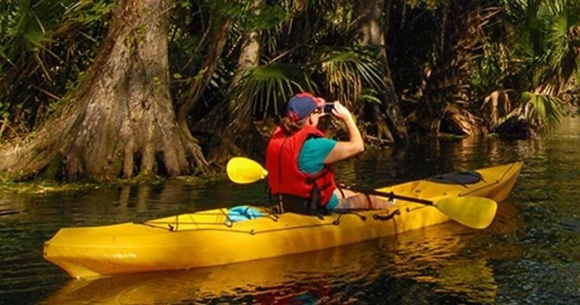 Two kayakers in yellow tandem kayak navigating shaded mangrove