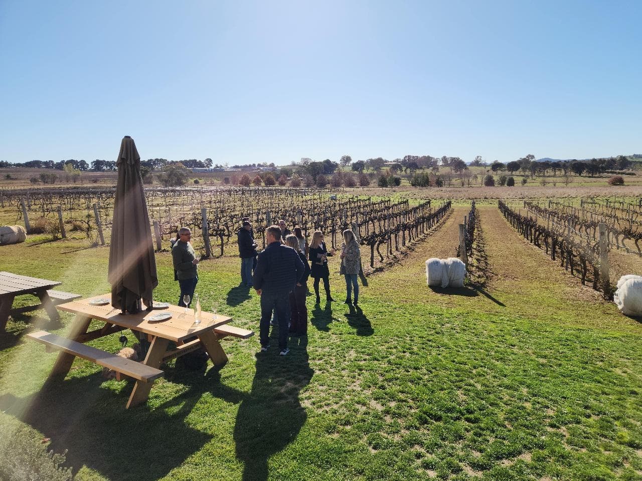Canberra Winery Tour: Full-Day Murrumbateman Tastings, Lake George Views & Lunch photo 1