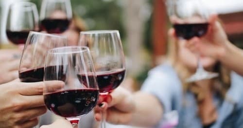 Group toasting red wine outdoors at vineyard social tasting