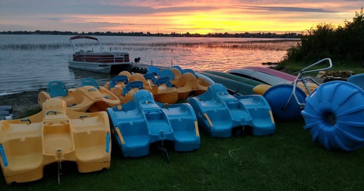 Colorful pedal boats lined on lakeshore at sunset, scenic rental
