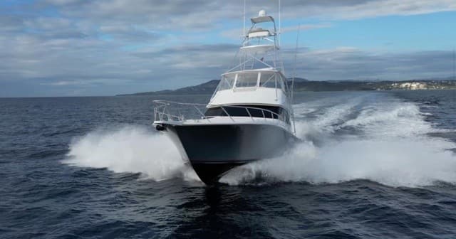 Half-Day Offshore Fishing on Triton: West Palm Beach Sportfishing Charter