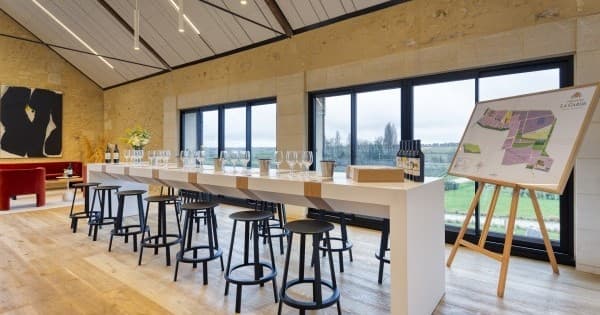 Bordeaux Mosaic Tower Tasting Experience | Guided Tour in Martillac | Food Tour, Attraction, Wine