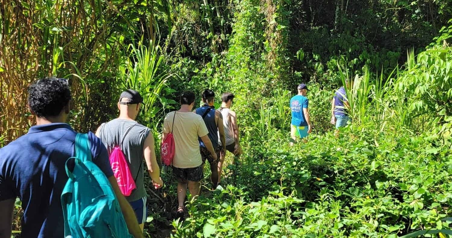 Group hiking through dense rainforest trail on guided trek