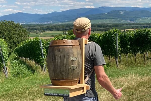 Vineyard Puzzle Adventure with Berggeheimnis in Freiburg