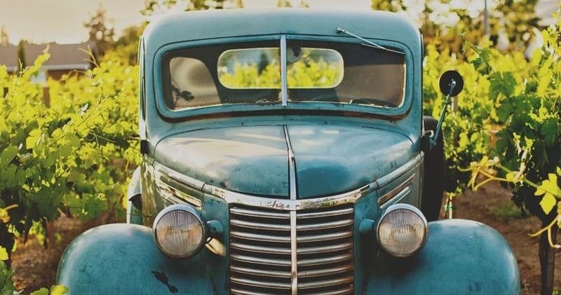 Vintage truck parked in sunlit vineyard rows, rustic wine tour