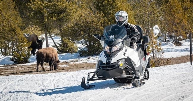 Yellowstone Snowmobile Tour by Scenic Safaris Winter