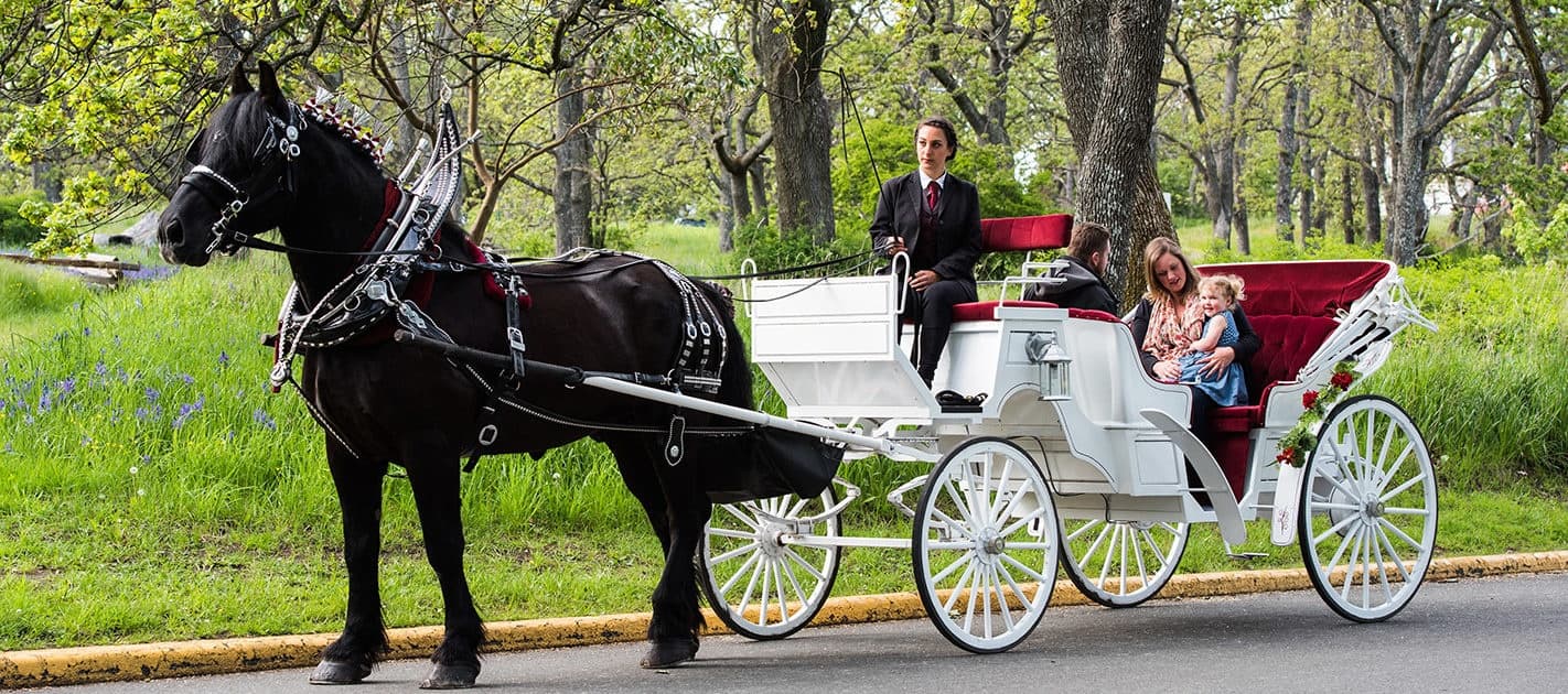 City Adventure & Horse-Drawn Carriage Ride at Central Park