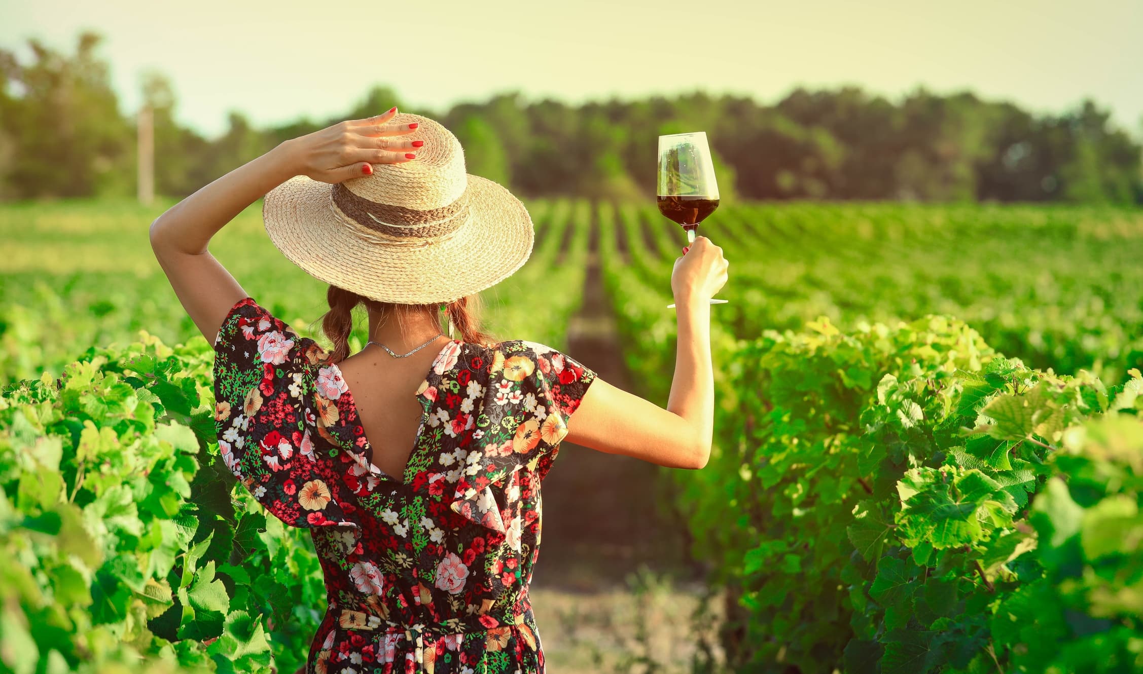 Wine Tasting Tours in Ribera del Duero from Madrid