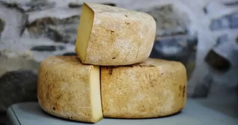 Bubbles and Cheeses: Private Cava Cellar & Artisan Cheese Tasting from Barcelona
