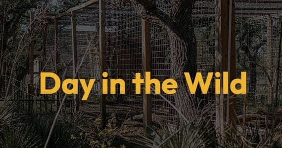 Private Texas Wildlife Park: Day in the Wild Full-Day Experience