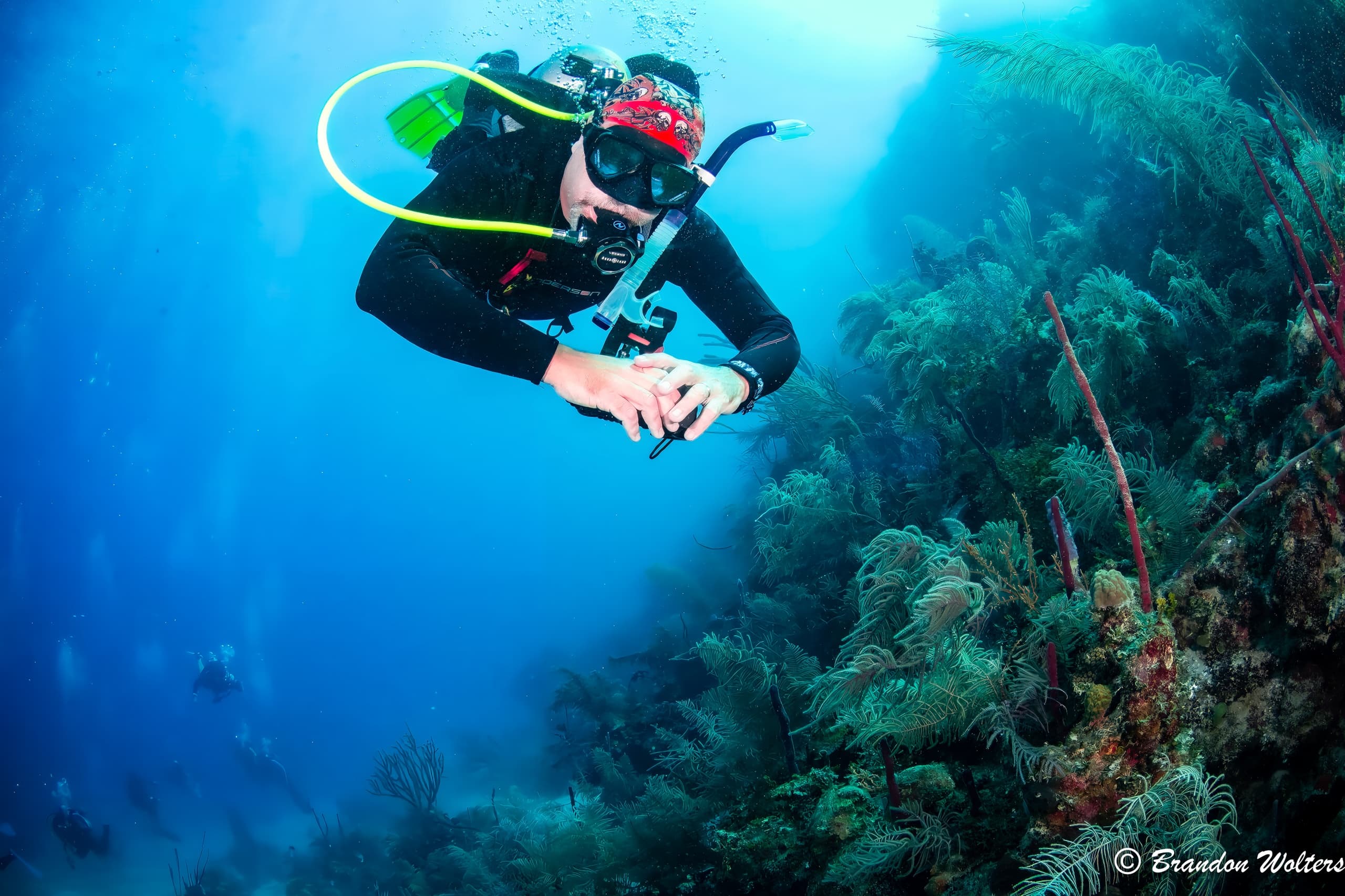 Master the Depths: NAUI Divemaster Course in Punta Gorda, Florida